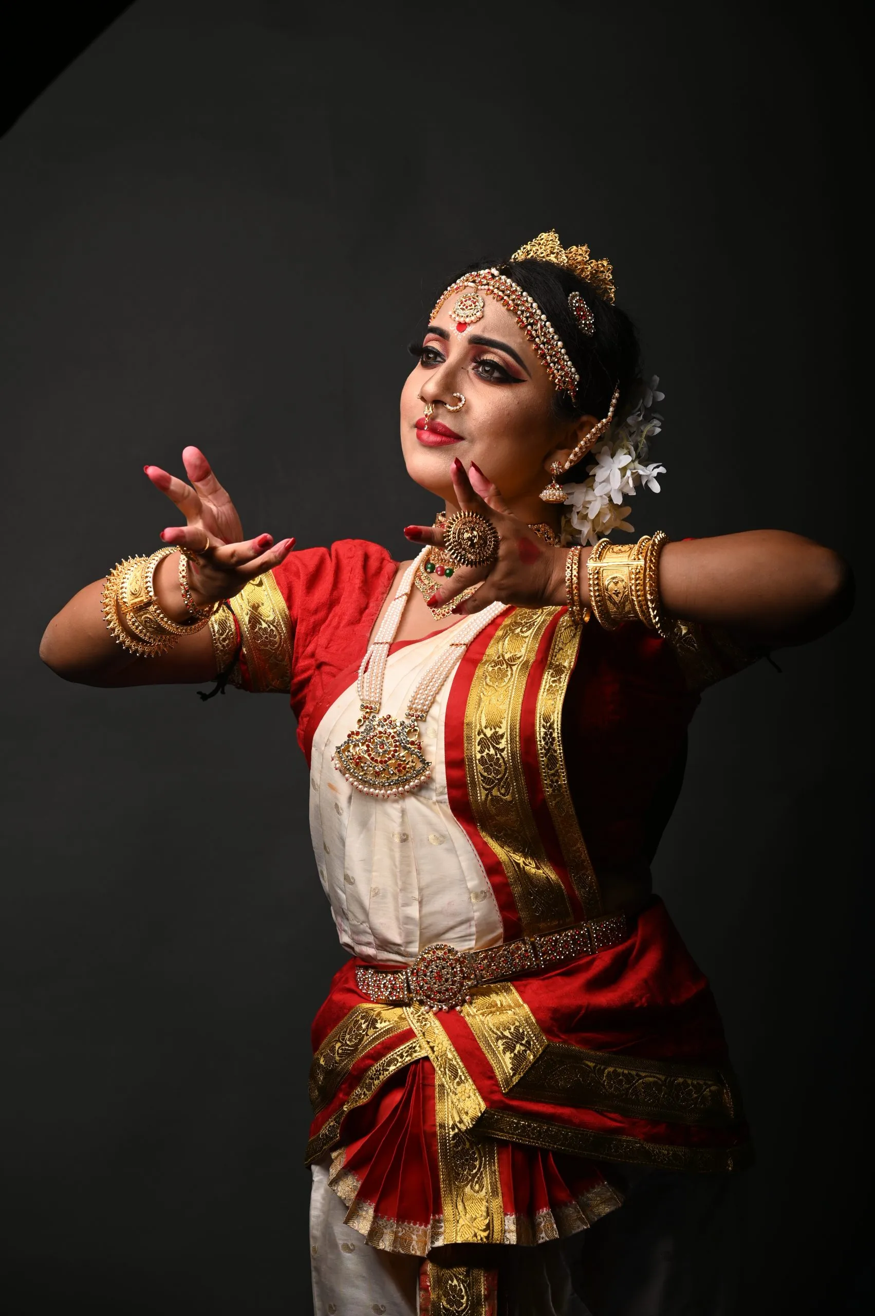 https://bharatanatyam.net/wp-content/uploads/2023/08/Dancing-Beauty-443005-pixahive-1.webp